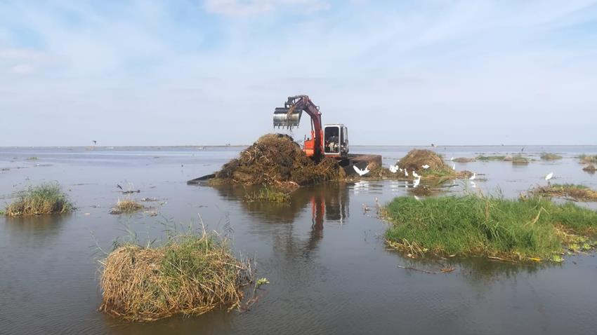 Hydrodynamic and water quality model for Manzala Lake, 2015