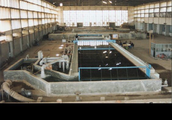 International Cooperation Projects